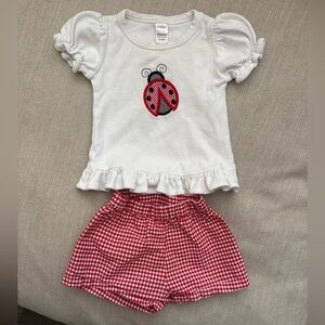 Ladybug Appliqué Tee + Gingham Shorts Girls Outfit